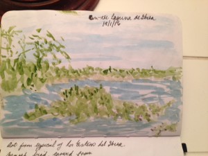 My quick sketch from the boat on the laguna